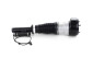 Mercedes-Benz S Class W221 Front Air Strut Left or Right A2213209313