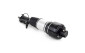 Mercedes-Benz CLS Class C219 Right Front AMG Air Suspension Shock A2113203238