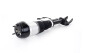 Mercedes GLE Class W166 Shock Absorber with ADS A1663202030