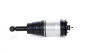 Land Rover Discovery 3 Rear Air Suspension Strut (Left or Right) RPD500184
