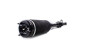 Federbein Vorne Mercedes R Klasse W251 A2513203013