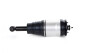 Amortisseur Pneumatique Land Rover Discovery 4 Arrière (Gauche ou Droite) RPD500184