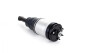 Amortisseur Pneumatique Land Rover Discovery 4 Arrière (Gauche ou Droite) RPD501110